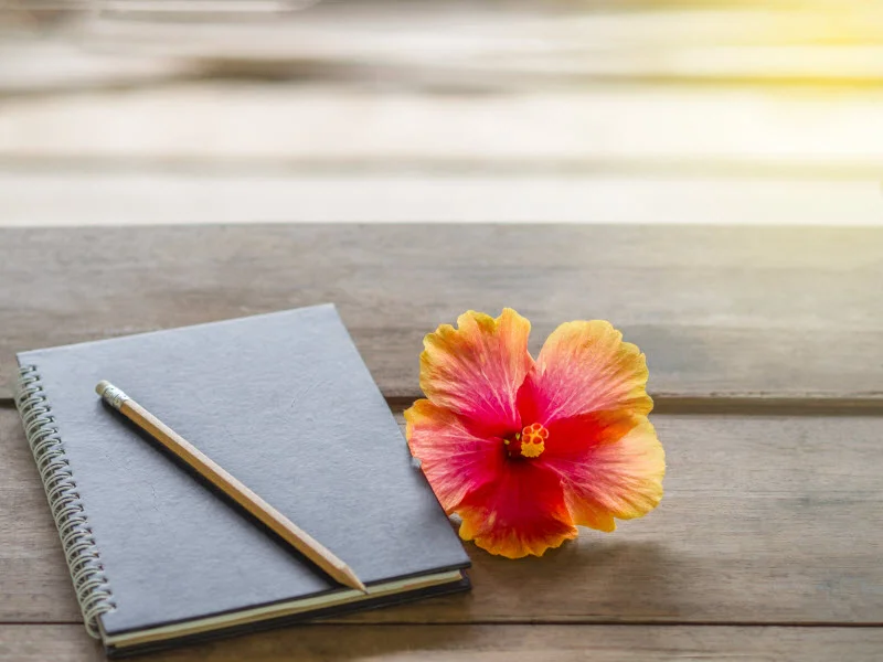 Notebook and and flower