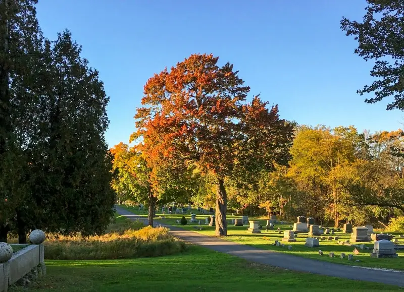 Tailored services that meet your expectations and budget